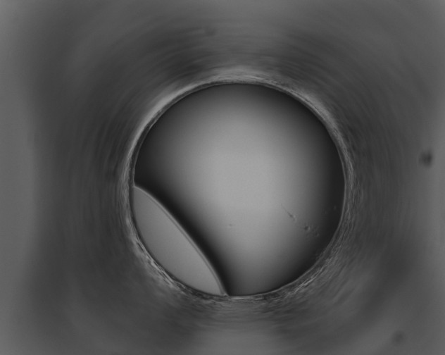 X0000095681008200801081059