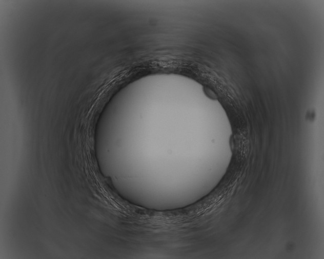 X0000095681009200801081058