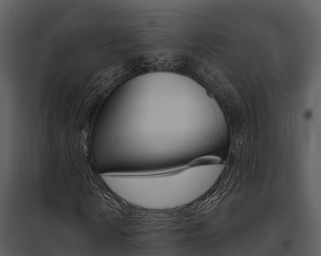 X0000095681010200801081058
