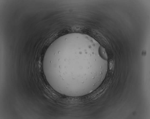 X0000095681011200801081058