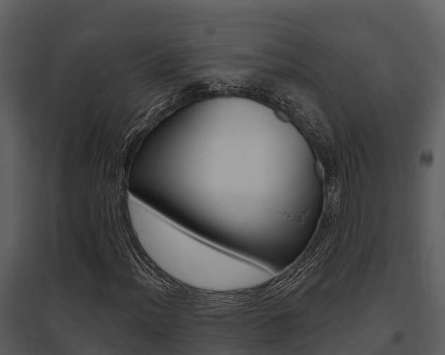 X0000095681012200801081058