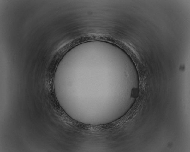 X0000095681015200801081058