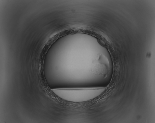 X0000095681016200801081058