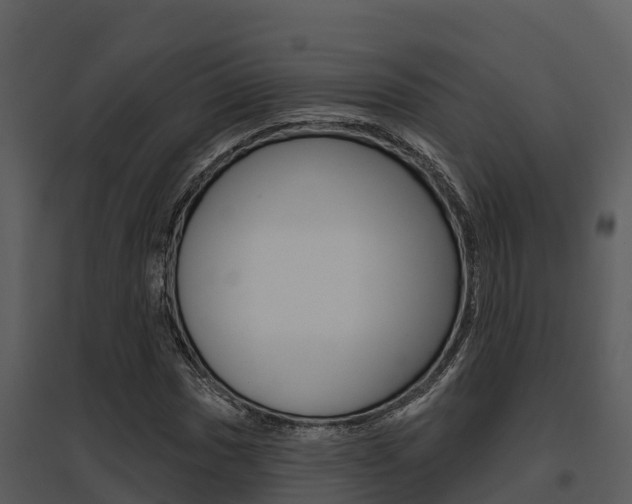 X0000095681017200801081058