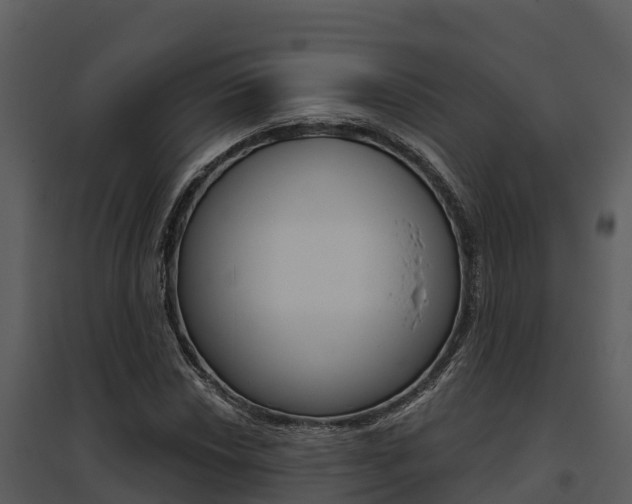 X0000095681018200801081058