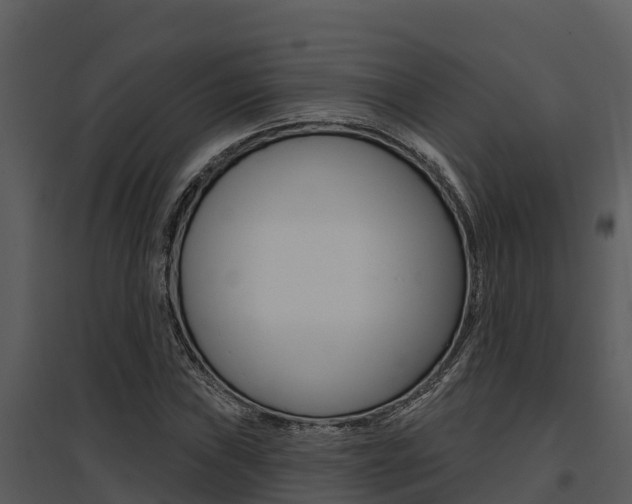 X0000095681019200801081058