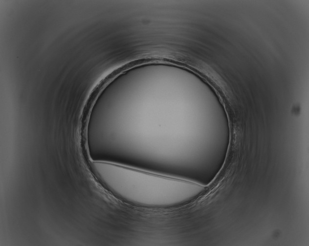 X0000095681020200801081058