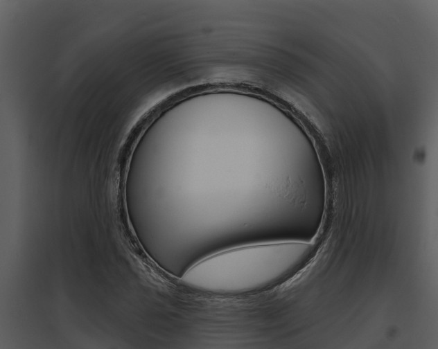 X0000095681021200801081058