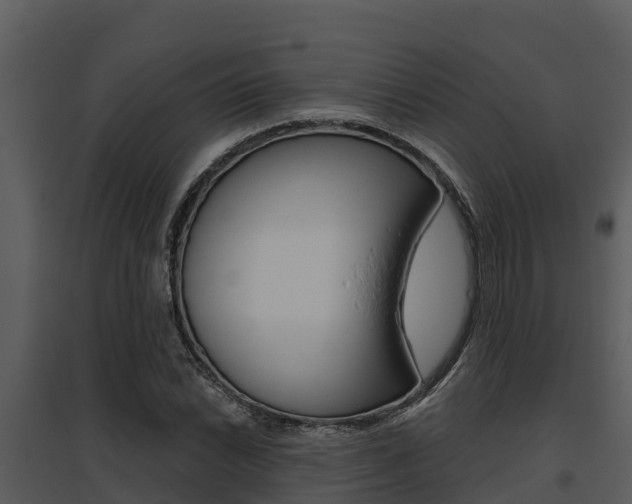 X0000095681022200801081058