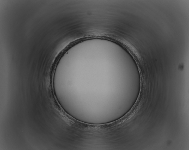 X0000095681023200801081058