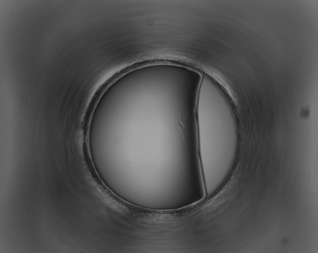 X0000095681024200801081058