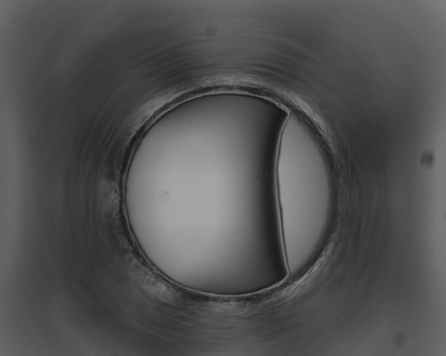 X0000095681025200801081058