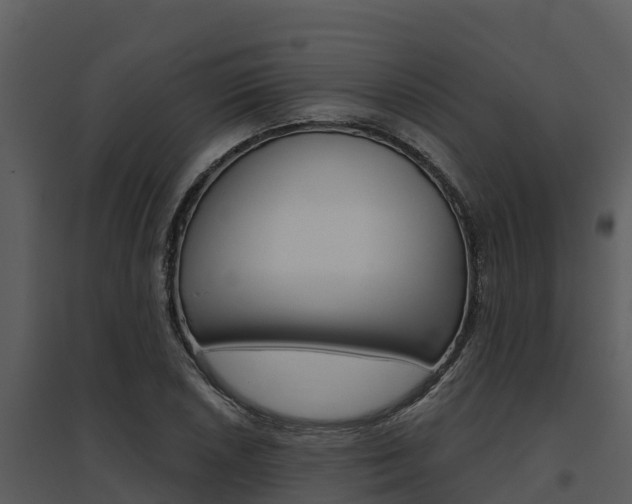 X0000095681026200801081058