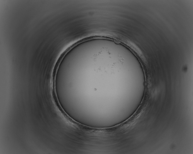 X0000095681028200801081058