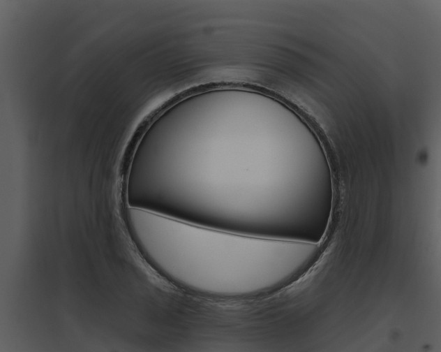 X0000095681029200801081058