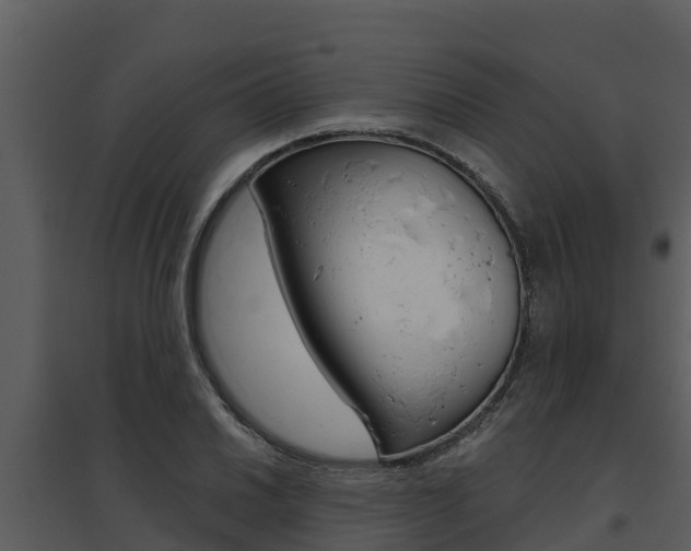 X0000095681030200801081058