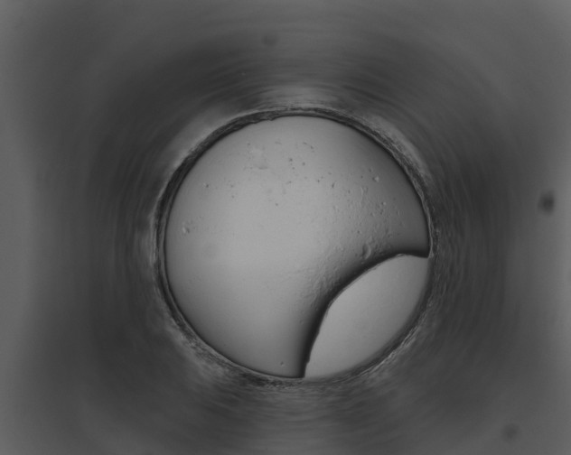X0000095681031200801081058