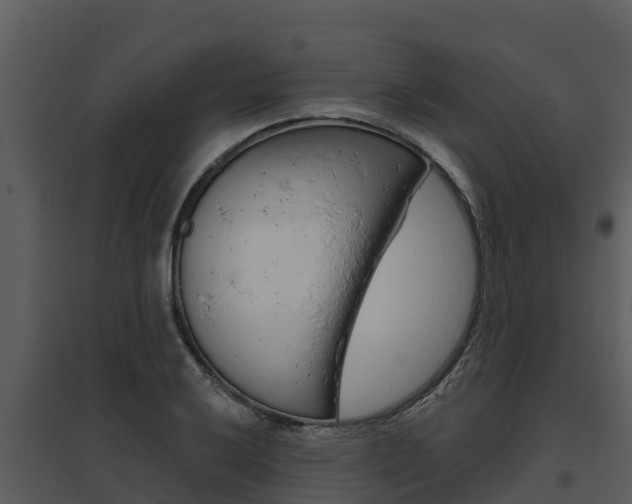 X0000095681032200801081058