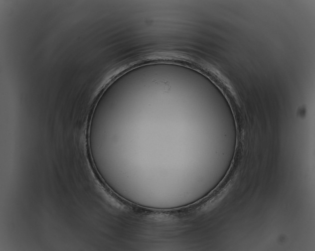 X0000095681033200801081058