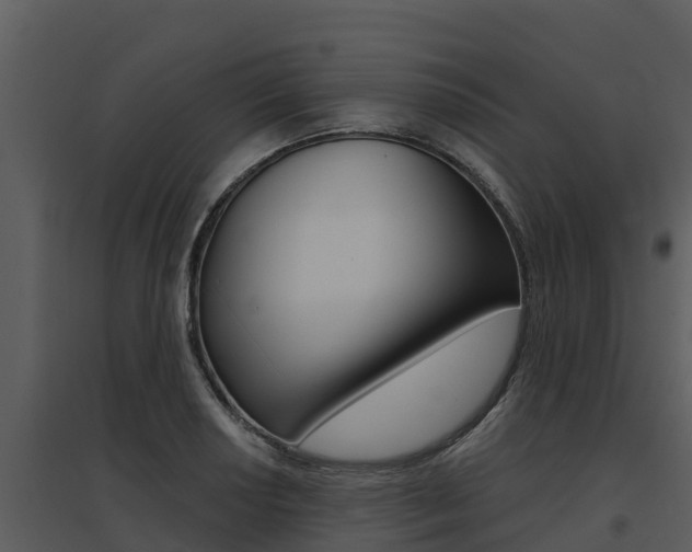 X0000095681034200801081058