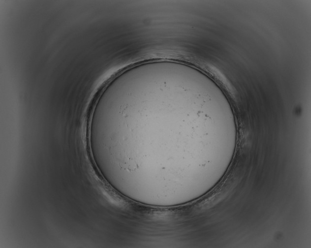 X0000095681035200801081058