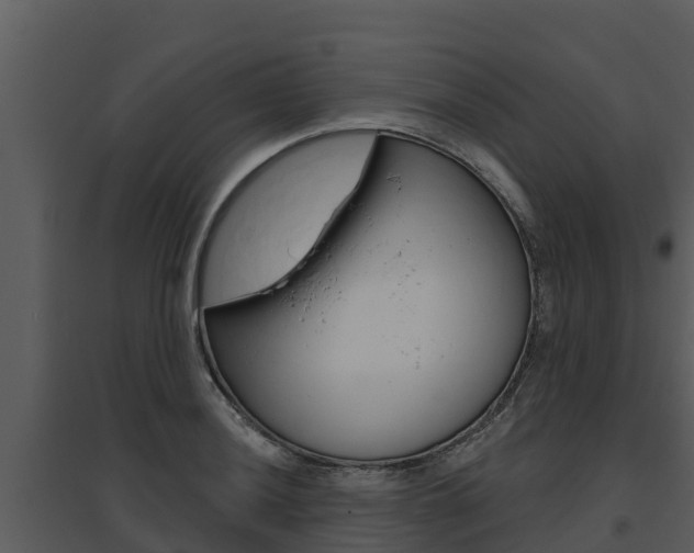 X0000095681036200801081058