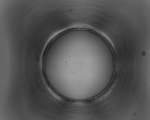 X0000095681037200801081058