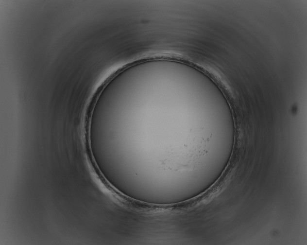 X0000095681038200801081058