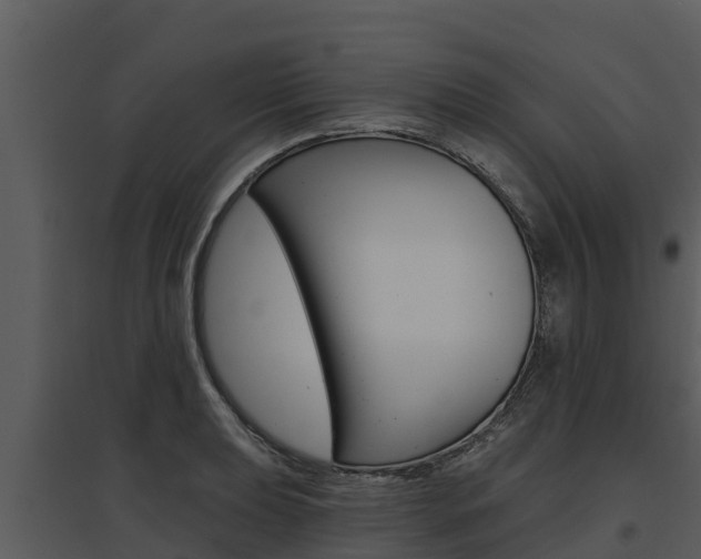 X0000095681039200801081058