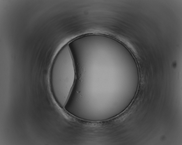 X0000095681040200801081058