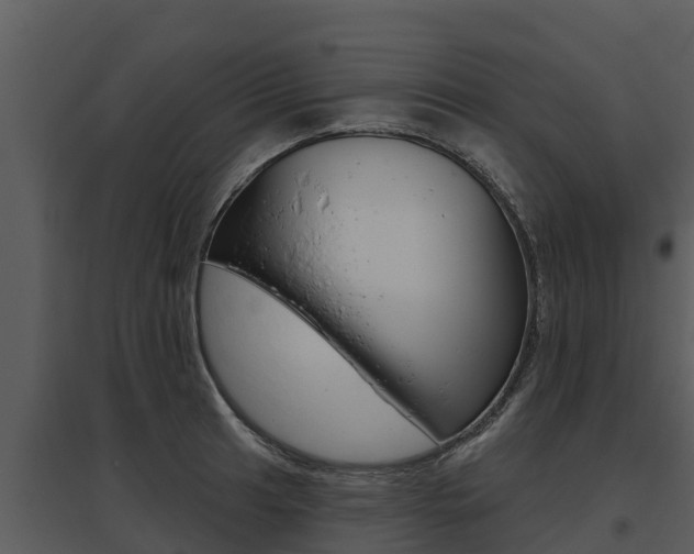 X0000095681041200801081058