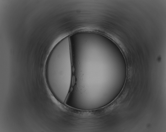 X0000095681042200801081058