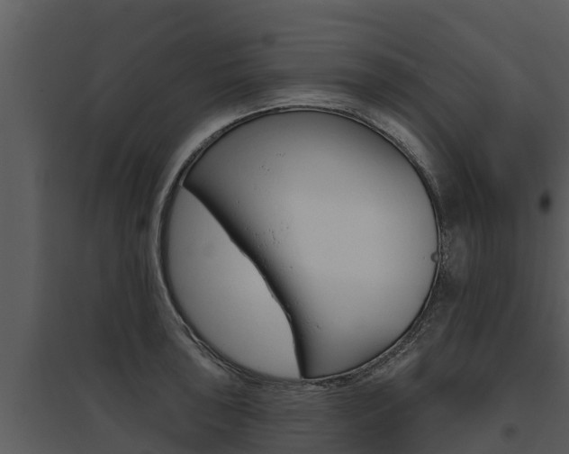 X0000095681043200801081058