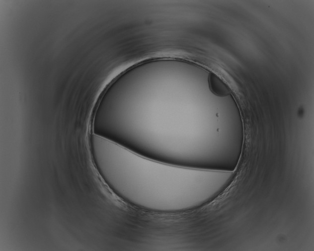 X0000095681044200801081058