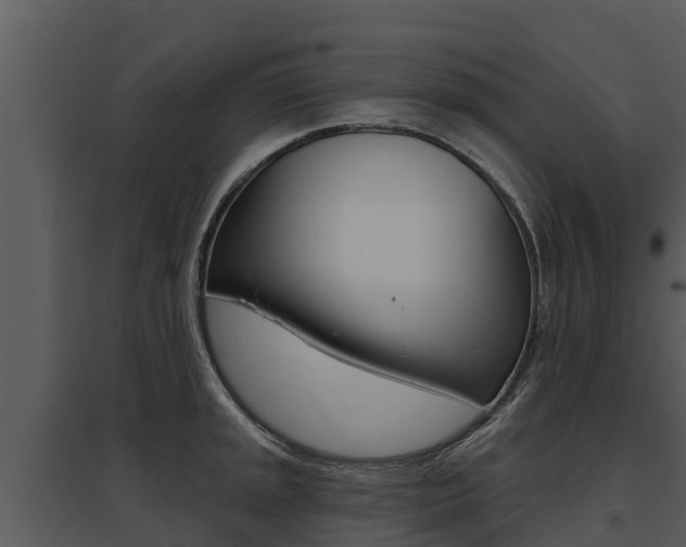 X0000095681045200801081058