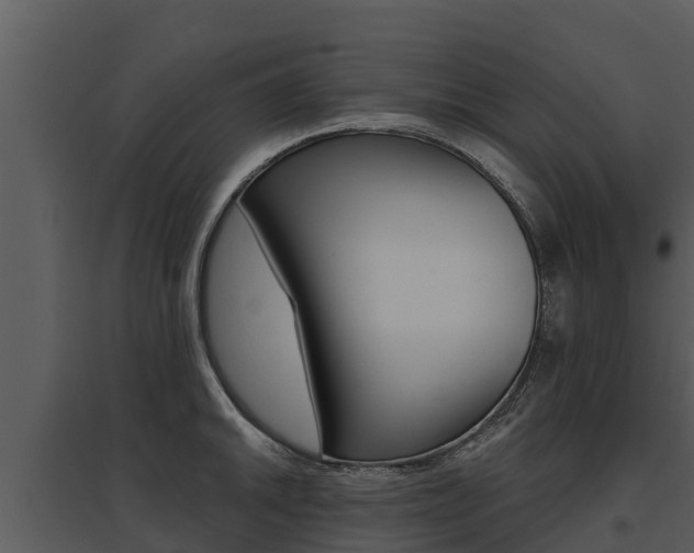 X0000095681046200801081058