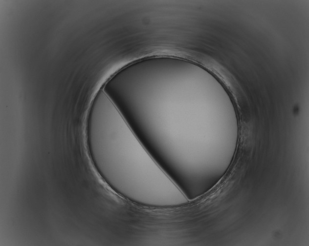 X0000095681048200801081058