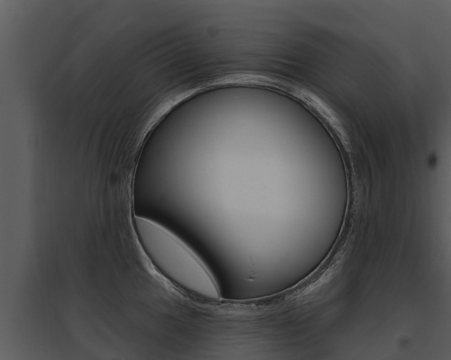 X0000095681049200801081058