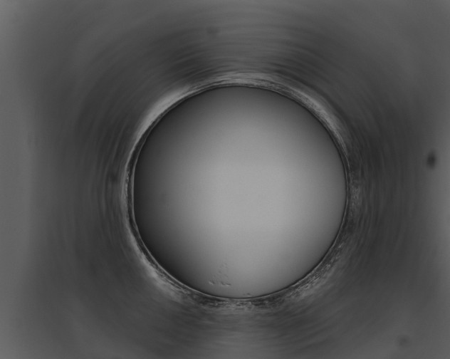 X0000095681050200801081058