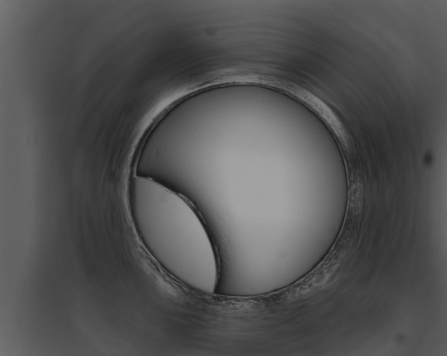 X0000095681051200801081058