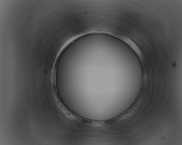 X0000095681052200801081058