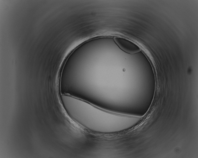 X0000095681053200801081058
