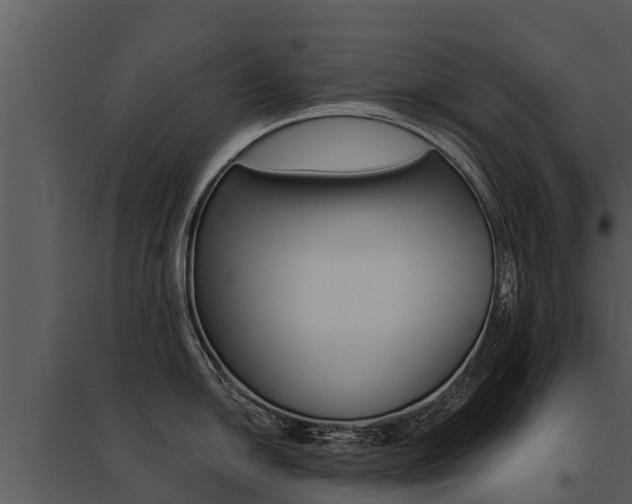 X0000095681054200801081058