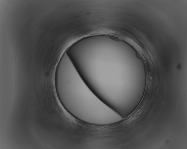 X0000095681055200801081058