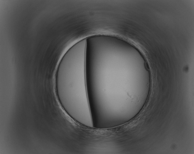 X0000095681056200801081058