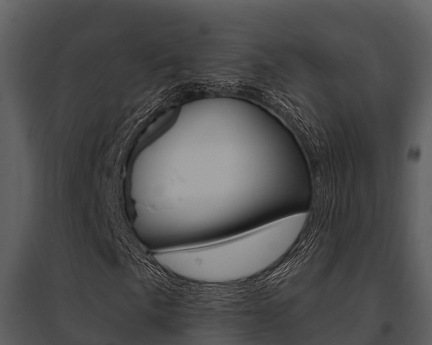 X0000095681057200801081058