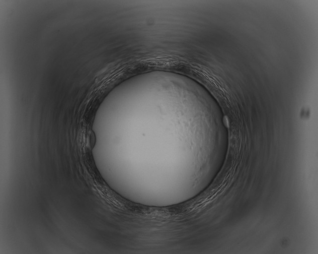 X0000095681058200801081058