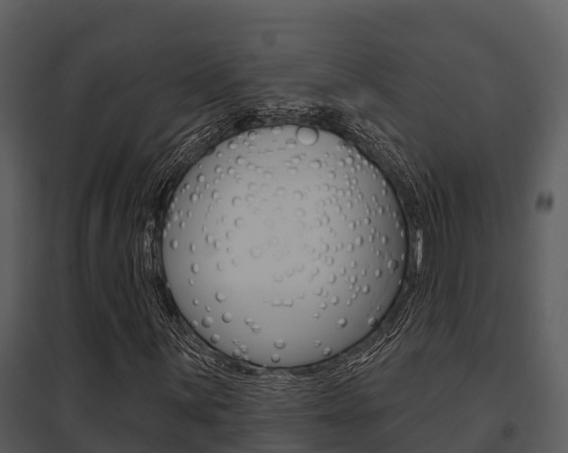 X0000095681059200801081058