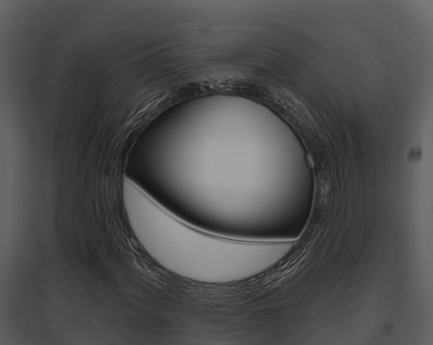 X0000095681060200801081058