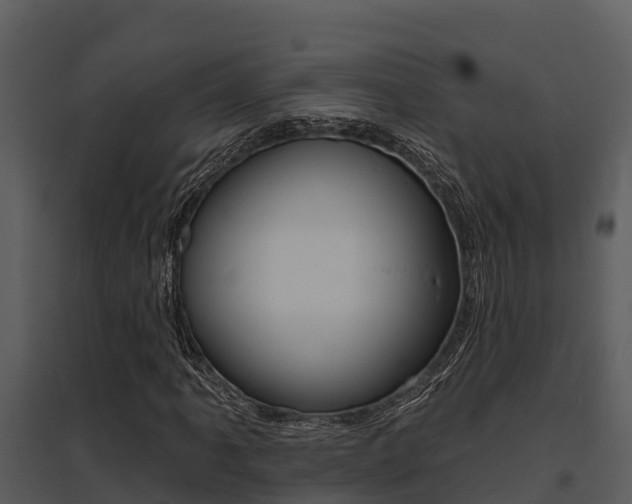 X0000095681061200801081058
